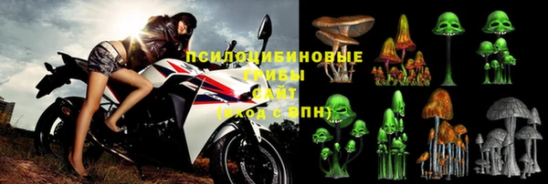 дмт Армянск
