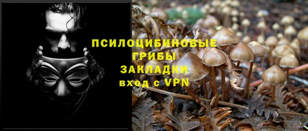 Альфа ПВП Аркадак