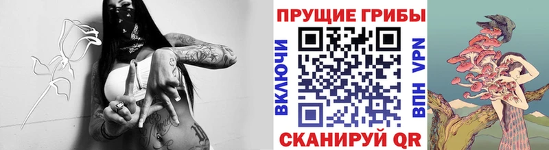 Галлюциногенные грибы GOLDEN TEACHER  Тетюши 